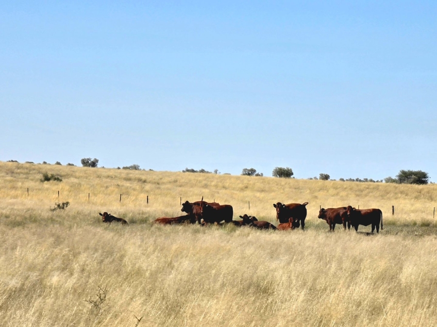 Commercial Property for Sale in Upington Rural Northern Cape